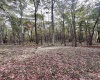 TBD Graham Lane, Terra Alta, West Virginia 26764, ,Lots/land,For Sale,Graham,10161777