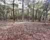 TBD Graham Lane, Terra Alta, West Virginia 26764, ,Lots/land,For Sale,Graham,10161777