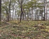 TBD Graham Lane, Terra Alta, West Virginia 26764, ,Lots/land,For Sale,Graham,10161777