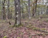 TBD Graham Lane, Terra Alta, West Virginia 26764, ,Lots/land,For Sale,Graham,10161777