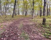 TBD Graham Lane, Terra Alta, West Virginia 26764, ,Lots/land,For Sale,Graham,10161777