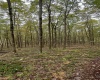 TBD Graham Lane, Terra Alta, West Virginia 26764, ,Lots/land,For Sale,Graham,10161777