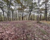 TBD Graham Lane, Terra Alta, West Virginia 26764, ,Lots/land,For Sale,Graham,10161777