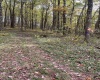 TBD Graham Lane, Terra Alta, West Virginia 26764, ,Lots/land,For Sale,Graham,10161777