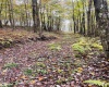33213 Veterans Memorial Highway, Terra Alta, West Virginia 26764, ,Lots/land,For Sale,Veterans Memorial,10161773