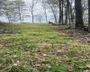 33213 Veterans Memorial Highway, Terra Alta, West Virginia 26764, ,Lots/land,For Sale,Veterans Memorial,10161773