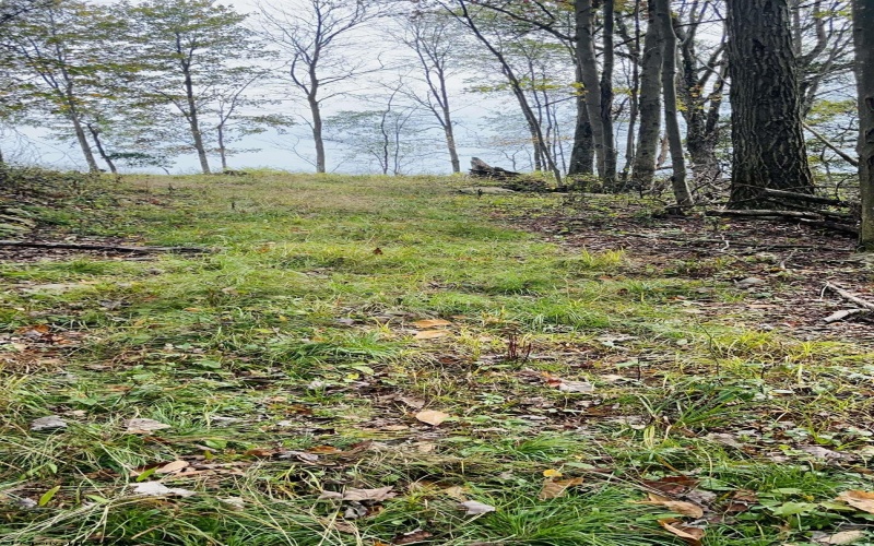 33213 Veterans Memorial Highway, Terra Alta, West Virginia 26764, ,Lots/land,For Sale,Veterans Memorial,10161773