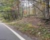 33213 Veterans Memorial Highway, Terra Alta, West Virginia 26764, ,Lots/land,For Sale,Veterans Memorial,10161773