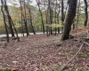 33213 Veterans Memorial Highway, Terra Alta, West Virginia 26764, ,Lots/land,For Sale,Veterans Memorial,10161773