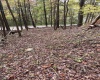 33213 Veterans Memorial Highway, Terra Alta, West Virginia 26764, ,Lots/land,For Sale,Veterans Memorial,10161773