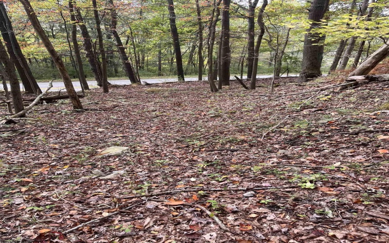 33213 Veterans Memorial Highway, Terra Alta, West Virginia 26764, ,Lots/land,For Sale,Veterans Memorial,10161773