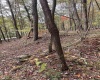 33213 Veterans Memorial Highway, Terra Alta, West Virginia 26764, ,Lots/land,For Sale,Veterans Memorial,10161773