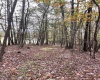33213 Veterans Memorial Highway, Terra Alta, West Virginia 26764, ,Lots/land,For Sale,Veterans Memorial,10161773