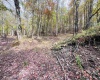 33213 Veterans Memorial Highway, Terra Alta, West Virginia 26764, ,Lots/land,For Sale,Veterans Memorial,10161773