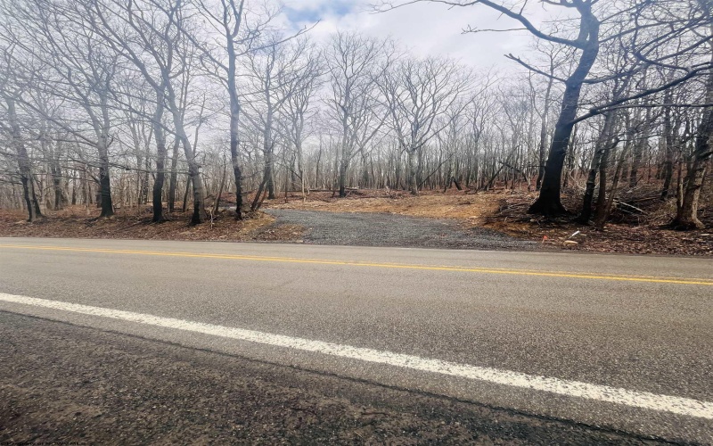 33213 Veterans Memorial Highway, Terra Alta, West Virginia 26764, ,Lots/land,For Sale,Veterans Memorial,10161773