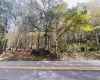 33213 Veterans Memorial Highway, Terra Alta, West Virginia 26764, ,Lots/land,For Sale,Veterans Memorial,10161773