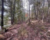 33213 Veterans Memorial Highway, Terra Alta, West Virginia 26764, ,Lots/land,For Sale,Veterans Memorial,10161773