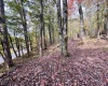 33213 Veterans Memorial Highway, Terra Alta, West Virginia 26764, ,Lots/land,For Sale,Veterans Memorial,10161773