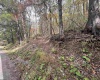 33213 Veterans Memorial Highway, Terra Alta, West Virginia 26764, ,Lots/land,For Sale,Veterans Memorial,10161773