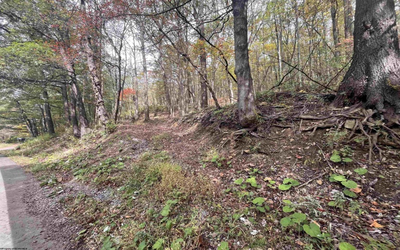 33213 Veterans Memorial Highway, Terra Alta, West Virginia 26764, ,Lots/land,For Sale,Veterans Memorial,10161773