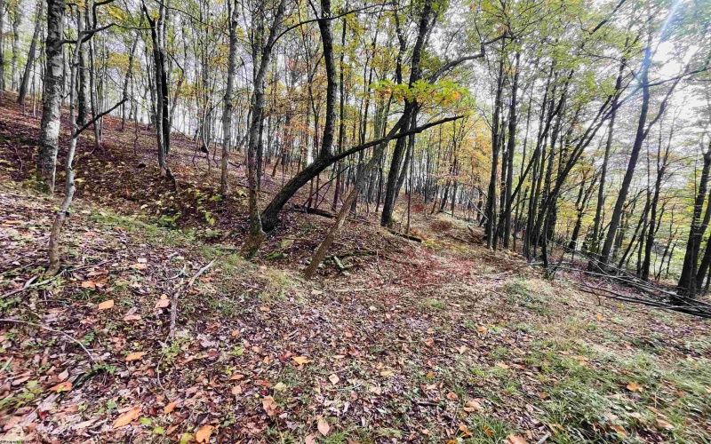 33213 Veterans Memorial Highway, Terra Alta, West Virginia 26764, ,Lots/land,For Sale,Veterans Memorial,10161773