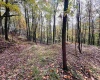 33213 Veterans Memorial Highway, Terra Alta, West Virginia 26764, ,Lots/land,For Sale,Veterans Memorial,10161773