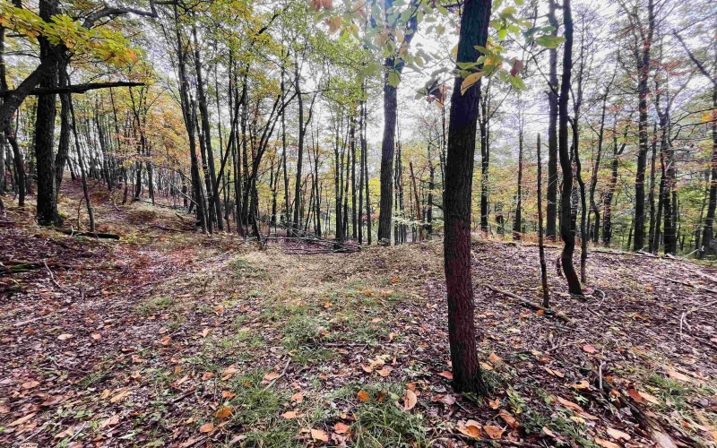 33213 Veterans Memorial Highway, Terra Alta, West Virginia 26764, ,Lots/land,For Sale,Veterans Memorial,10161773