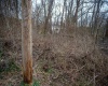 0 Montgomery Avenue, Fairmont, West Virginia 26554, ,Lots/land,For Sale,Montgomery,10157958