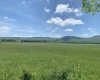 96 Brook Trout Way, Davis, West Virginia 26260-0000, ,Lots/land,For Sale,Brook Trout,10161789