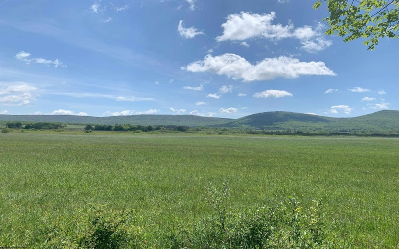 96 Brook Trout Way, Davis, West Virginia 26260-0000, ,Lots/land,For Sale,Brook Trout,10161789