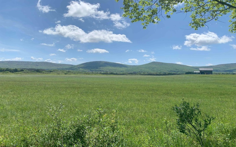 96 Brook Trout Way, Davis, West Virginia 26260-0000, ,Lots/land,For Sale,Brook Trout,10161789
