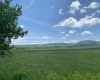 96 Brook Trout Way, Davis, West Virginia 26260-0000, ,Lots/land,For Sale,Brook Trout,10161789