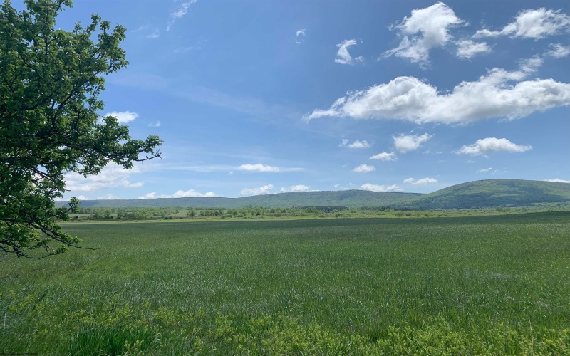 96 Brook Trout Way, Davis, West Virginia 26260-0000, ,Lots/land,For Sale,Brook Trout,10161789