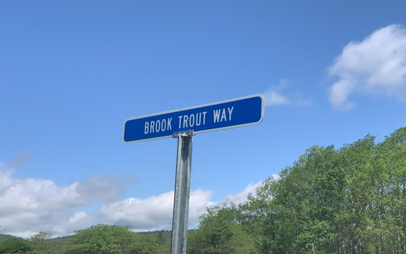 96 Brook Trout Way, Davis, West Virginia 26260-0000, ,Lots/land,For Sale,Brook Trout,10161789