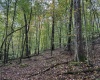 TBD Levels Road, Fairmont, West Virginia 26554, ,Lots/land,For Sale,Levels,10161794