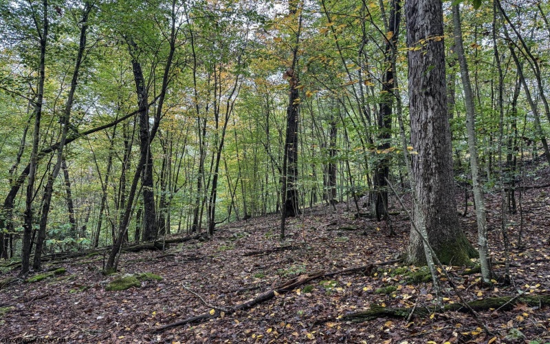 TBD Levels Road, Fairmont, West Virginia 26554, ,Lots/land,For Sale,Levels,10161794