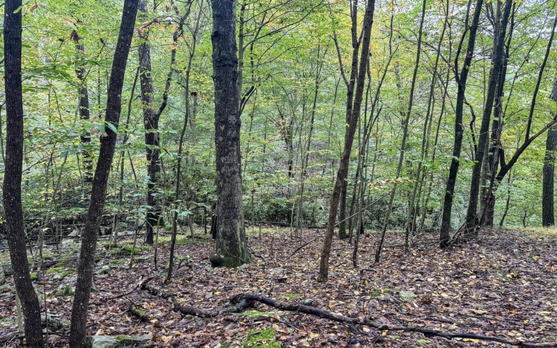 TBD Levels Road, Fairmont, West Virginia 26554, ,Lots/land,For Sale,Levels,10161794