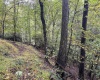 TBD Levels Road, Fairmont, West Virginia 26554, ,Lots/land,For Sale,Levels,10161794
