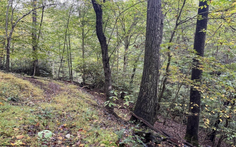 TBD Levels Road, Fairmont, West Virginia 26554, ,Lots/land,For Sale,Levels,10161794