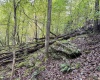 TBD Levels Road, Fairmont, West Virginia 26554, ,Lots/land,For Sale,Levels,10161794