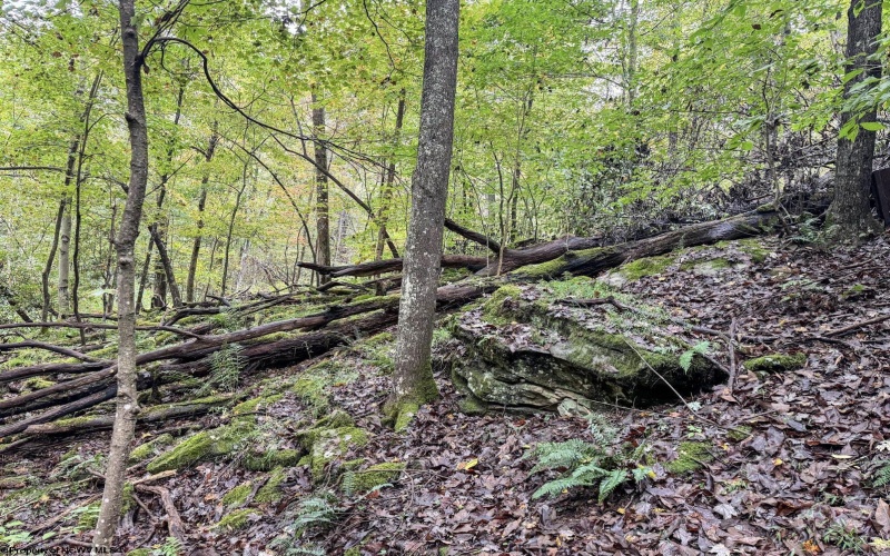 TBD Levels Road, Fairmont, West Virginia 26554, ,Lots/land,For Sale,Levels,10161794
