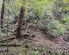 TBD Levels Road, Fairmont, West Virginia 26554, ,Lots/land,For Sale,Levels,10161794
