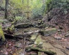 TBD Levels Road, Fairmont, West Virginia 26554, ,Lots/land,For Sale,Levels,10161794