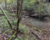 TBD Levels Road, Fairmont, West Virginia 26554, ,Lots/land,For Sale,Levels,10161794
