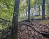 TBD Levels Road, Fairmont, West Virginia 26554, ,Lots/land,For Sale,Levels,10161794