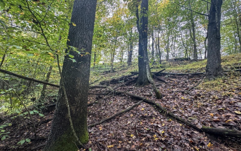TBD Levels Road, Fairmont, West Virginia 26554, ,Lots/land,For Sale,Levels,10161794