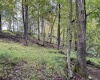 TBD Levels Road, Fairmont, West Virginia 26554, ,Lots/land,For Sale,Levels,10161794