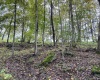 TBD Levels Road, Fairmont, West Virginia 26554, ,Lots/land,For Sale,Levels,10161794