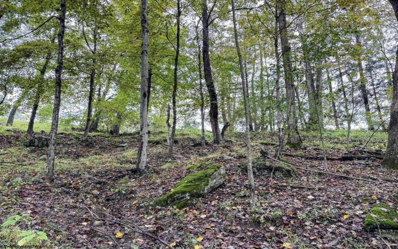 TBD Levels Road, Fairmont, West Virginia 26554, ,Lots/land,For Sale,Levels,10161794