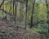TBD Levels Road, Fairmont, West Virginia 26554, ,Lots/land,For Sale,Levels,10161794